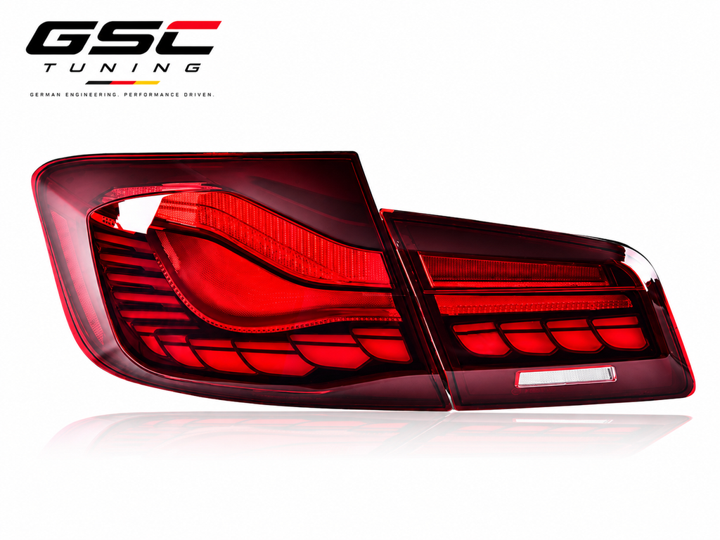 GSC Dragon Scale Style LED Taillight Assembly Set for BMW 5 Series F10 / F18 2010-2017 – Red / Smoked